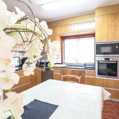 Semesterbostad Casa Da Bellavista Ponte de Lima